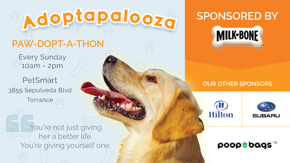 rescue-your-rescue-adoptapalooza